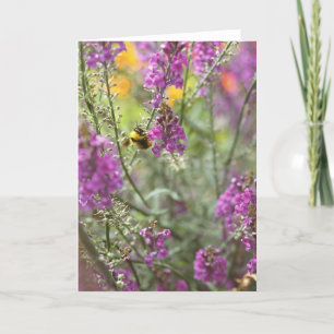 Bee with Wildflower Photo Card
