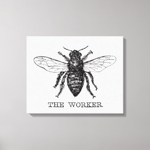 Bee Worker Honey Black Bumblebee Canvas Print