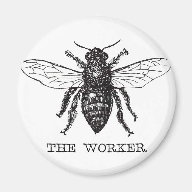 Bee Worker Honey Black Bumblebee Magnet (Front)