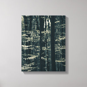 Beech forest nature photo canvas print