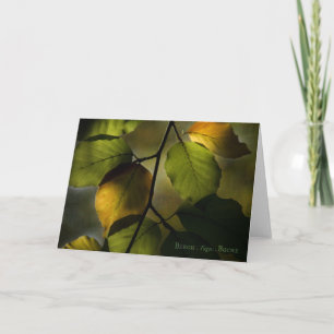 Beech Greeting Card