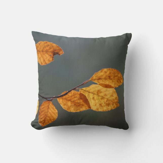 Beech leaf cushion (Front)