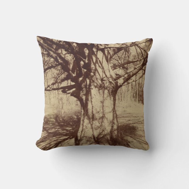 Beech Tree (by Eugène Atget) Cushion (Front)