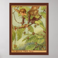 Beech Tree Fairy by Vision Studio