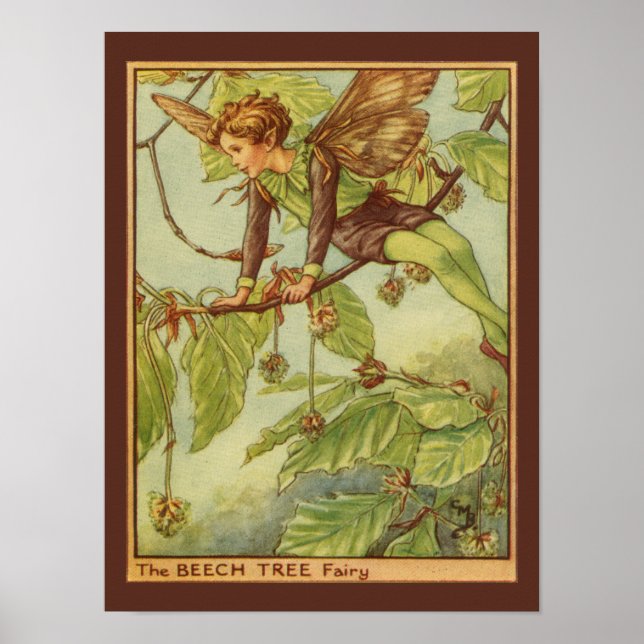 Beech Tree Fairy by Vision Studio Poster (Front)