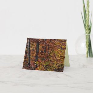 Beech Tree Forest Thank You Card