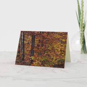 Beech Tree Forest Thanksgiving Holiday Card