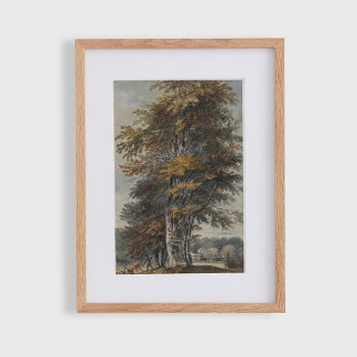 Beech tree, man, cattle and sheep, vintage poster