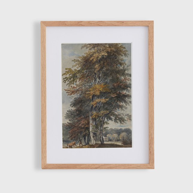 Beech tree, man, cattle and sheep, vintage  poster (Creator Uploaded)