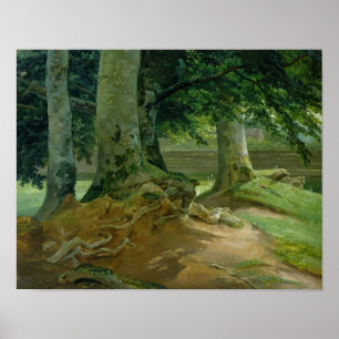 Beech Trees in Frederiksdal near Copenhagen Poster