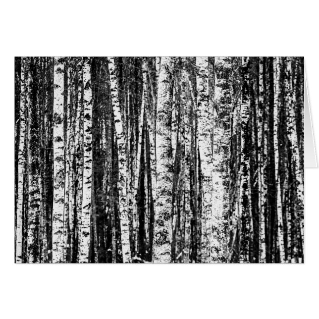 Beech Trees, White and Charcoal Grey / Grey (Front Horizontal)