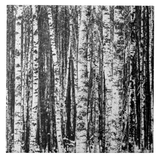 Beech Trees, White and Charcoal Grey / Grey  Tile (Front)