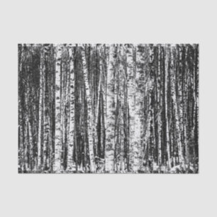 Beech Trees, White and Charcoal Grey / Grey Tissue Paper