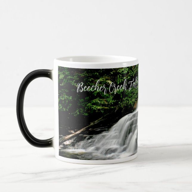 Beecher Creek Falls Mug (Left)