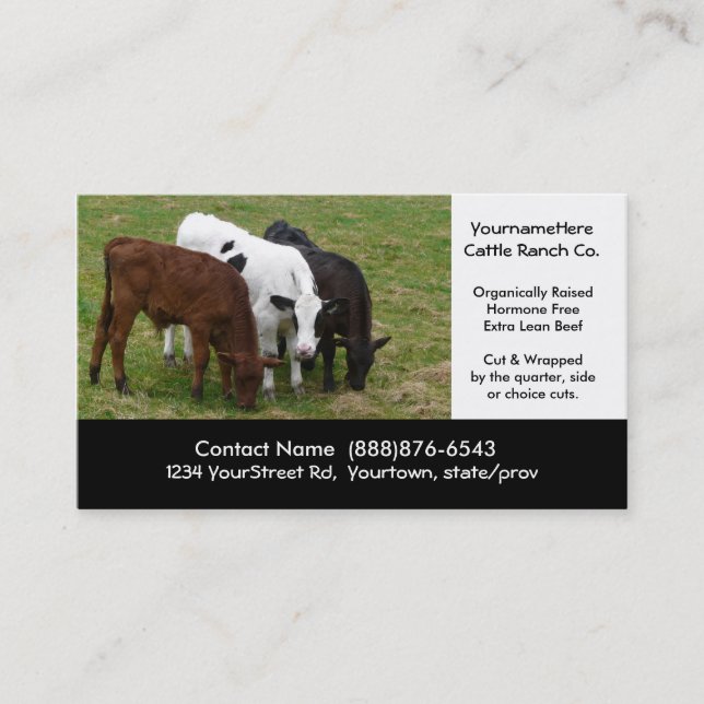 Beef Cattle Farming  or Butchering Business Card (Front)