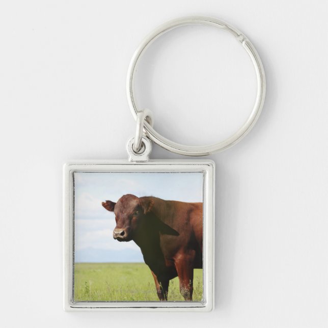 Beef cow in field key ring (Front)
