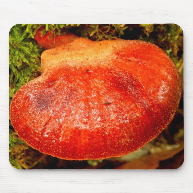 Beefsteak Fungus Mouse Mat (Front)