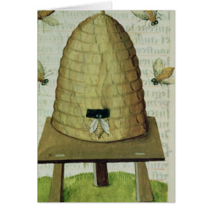 Beehive and Bees