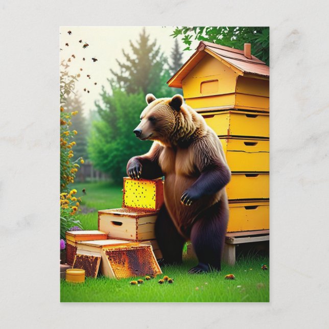 Beehive Bear Photo Postcard (Front)