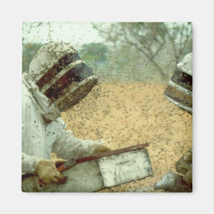 Beekeepers Magnet