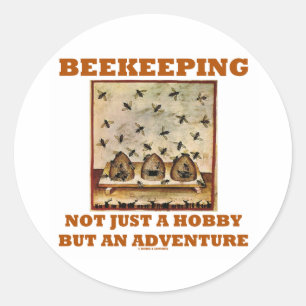 Beekeeping Not Just A Hobby But An Adventure Classic Round Sticker