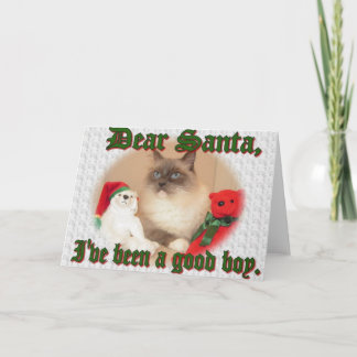 Been a Good Boy! Holiday Card