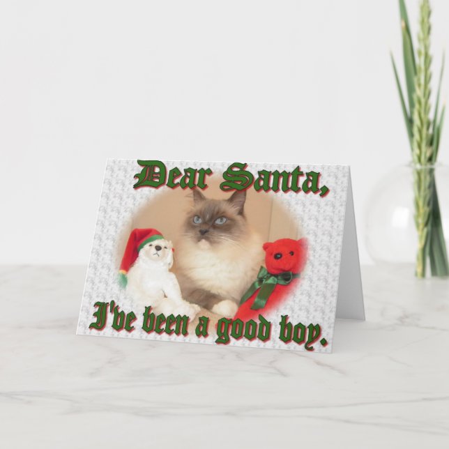 Been a Good Boy! Holiday Card (Front)