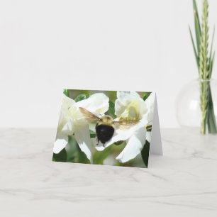 Bee'n Busy Card