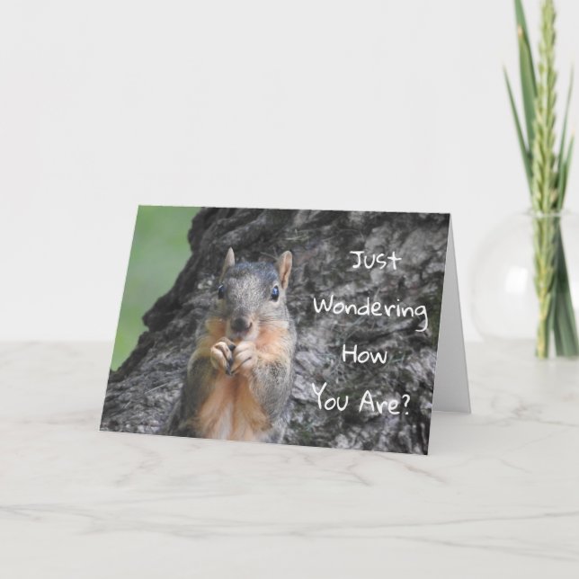 Been Thinking About You, Squirrel Photo  Card (Front)