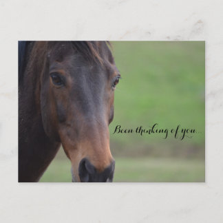 Been thinking of you... postcard