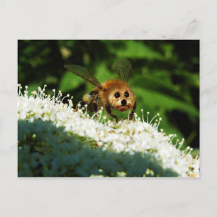 Beeog Postcard