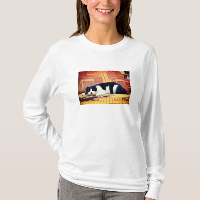 Beer Basic Long-Hanged Cats for Women T-Shirt (Front)