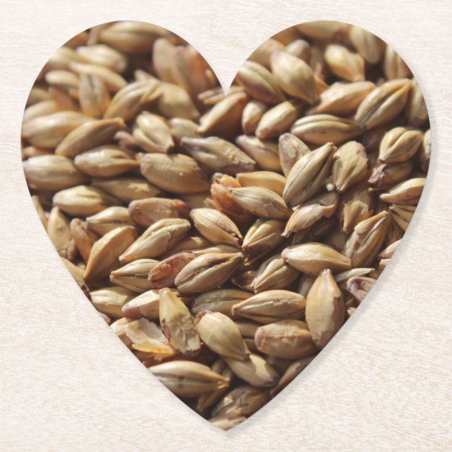 Beer brewing malted barley grains background paper coaster (Front)
