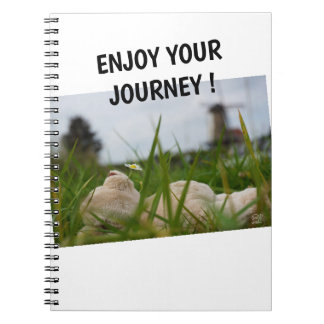 Beer relaxing in nature with Dutch moles. Notebook