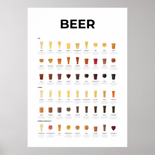 Beer Types Chart (Front)