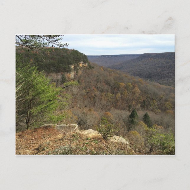 Beersheba Springs Postcard (Front)