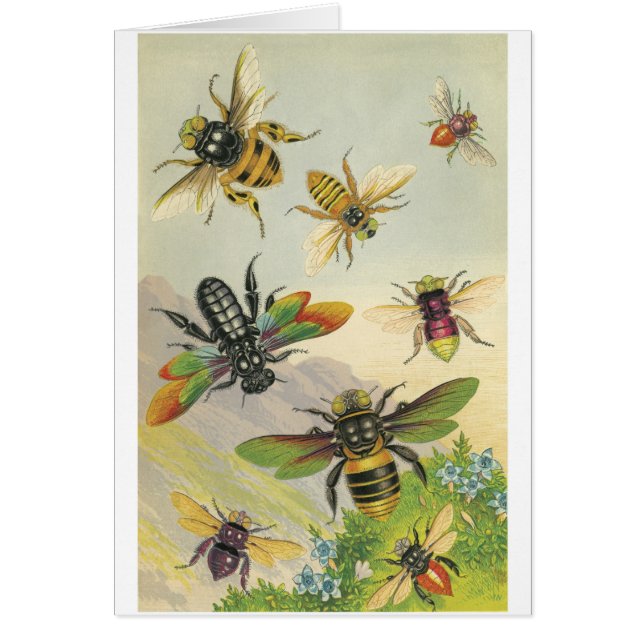 Bees (Front)
