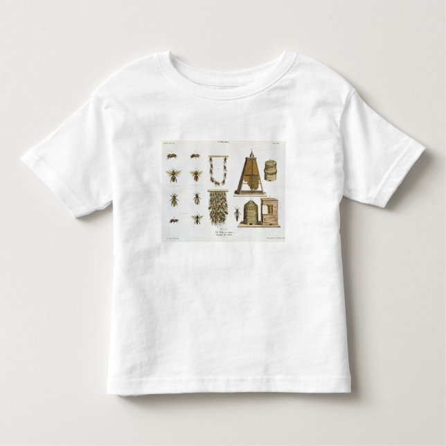 Bees and bee-keeping, from 'The Young Landsman', p Toddler T-Shirt (Front)