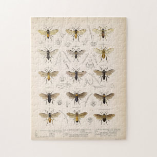 Bees and wasps from Cameron 1883-1890 Jigsaw Puzzle