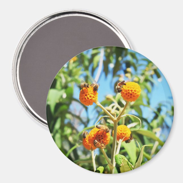 Bees at Work  Magnet (Front/Back)