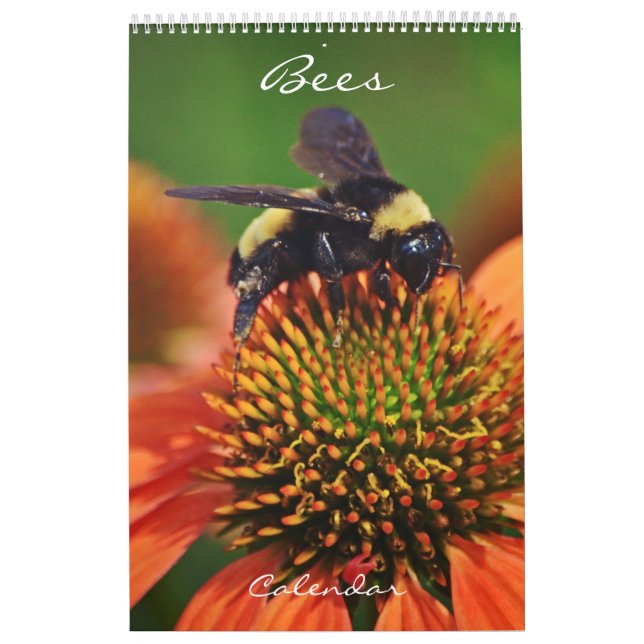 Bees Calendar Bee Love (Cover)