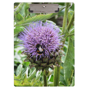 BEES CLIPBOARD