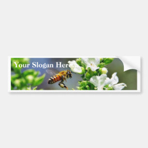 Bees Fying Flight Wings Bumper Sticker