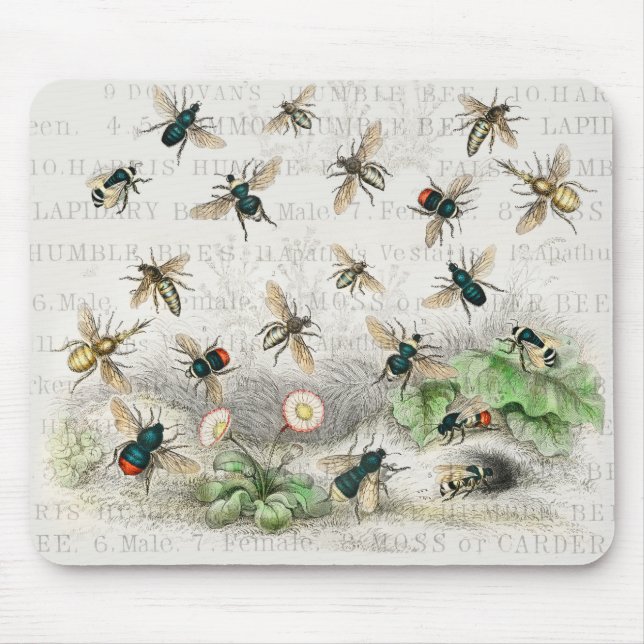 Bees Honey Worker Queen Nature Antique Bee Mouse Pad (Front)