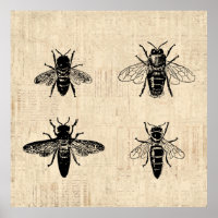 Bees Illustration Antique Bee Art Vintage Design
