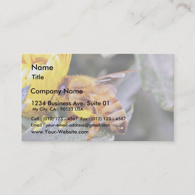 Bees Insects 3 Business Card (Front)