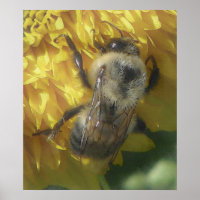 bees love yellow...[watercolour]