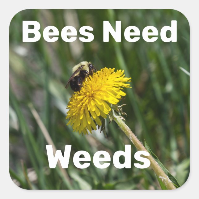 Bees Need Weeds Square Sticker (Front)