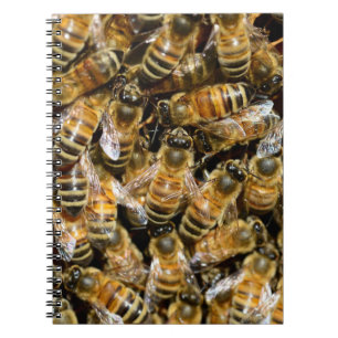 Bees Notebook