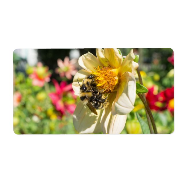 Bees on a flower (Front)